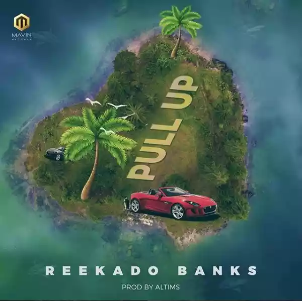 VIDEO: Reekado Banks – Pull Up