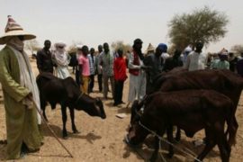 PLATEAU MASSACRE: “No One Should Expect Peace In Plateau, Prepare For More Attacks – Fulani Herdsmen Group Threatens