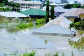 Katsina Flood Death Toll Hits 44, Buhari Intervenes