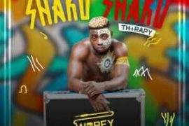MIXTAPE: DJ Enimoney – Shaku Shaku Therapy