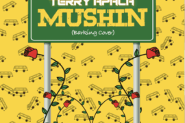 MUSIC: Terry Apala – Mushin (Barking Cover)