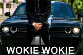 MUSIC+VIDEO: Mr. P ft. Nyanda – Wookie Wookie