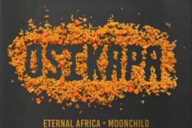 MUSIC: Eternal Africa x MoonChild x Patoranking x DJ Neptune x DJ Tira – Osikapa