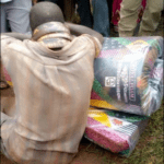 Man Arrested By Snake After Stealing A Mattress