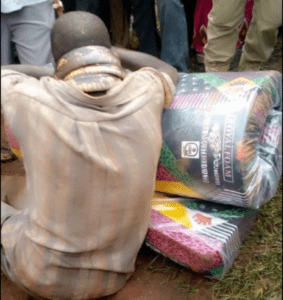 Man Arrested By Snake After Stealing A Mattress