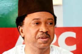 I Will Contest In 2019 – Shehu Sani, To Announce New Party In 48 Hours