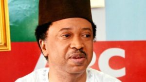 I Will Contest In 2019 – Shehu Sani, To Announce New Party In 48 Hours