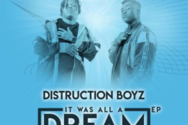 Music: Distruction Boyz ft. Mr Eazi – Shasha Kushasha