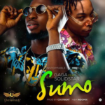 Music+Video: Gaga Ft. Solid Star – Sumo