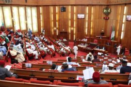 Senate Approves N53Billion For ONSA, Security Agencies For 2019 Election