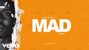 Video: Vector - Mad