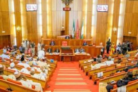 2019: Senate Cuts Presidency, Other MDAs’ Budget To Fund INEC’s N242bn Budget