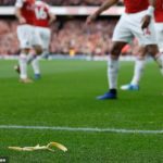 Tottenham Fan Arrested For Throwing A Banana At Aubameyang (Photos)