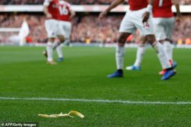 Tottenham Fan Arrested For Throwing A Banana At Aubameyang (Photos)