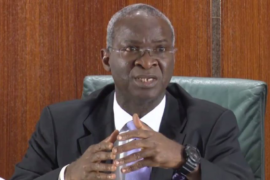 Fashola Reveals Those Responsible For Lack Of Electricity In Nigeria