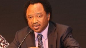 Shehu Sani Reveals Why North Is Extremely Poor