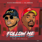 Music: Guccimaneko x Olamide - Follow Me