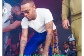 Music: Bow Wow – Wish I Never Met Her