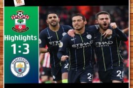 Southampton vs Manchester City 1-3 – Highlights & Goals (Download Video)