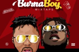 DJ Baddo – Best Of Burna Boy Mix (Mixtape)