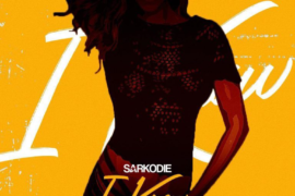 Sarkodie – “I Know” ft. Reekado Banks (Music)