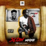 teni slow whine ft promise