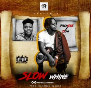 teni slow whine ft promise