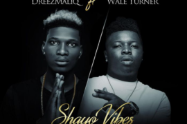 Dreezmaliq Ft. Wale Turner – Shayo Vibes (Mp3 Download)