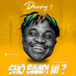 Danny S - Sho Baadi Ni