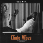 Timaya - I Can’t Kill Myself (Music)