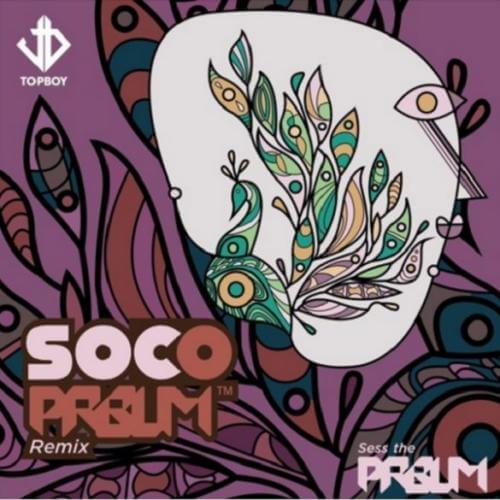 Sess x Wizkid - Soco (PRBLM Remix)