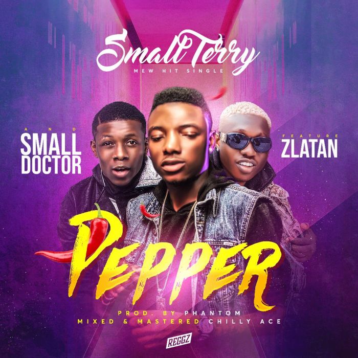 Small Terry ft Zlatan & Small Doctor – Pepper (Mp3 Download)