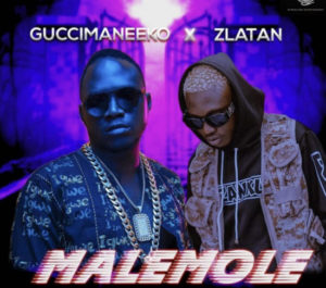 Guccimaneeko ft Zlatan - Malemole