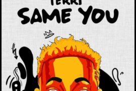 Terri – Same You (Mp3 Download)