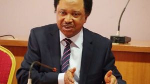 Shehu Sani Reveals What Buhari Should Do With Obasanjo's Letter