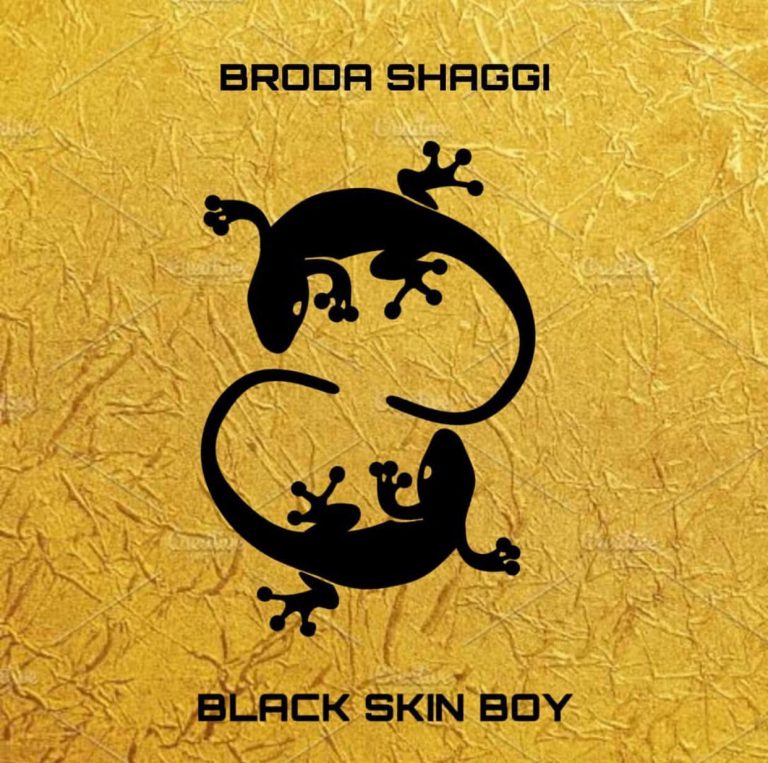 Broda Shaggi - Brown Skin Boy