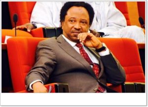 Shehu Sanni Reacts To The Arrest Of 80 Nigerians By FBI