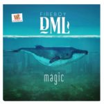 Fireboy DML - Magic