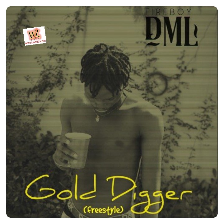 Fireboy DML - Gold Digger (Freestyle)