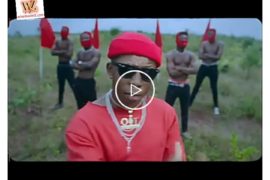 Small Doctor – Believe (Video Download)