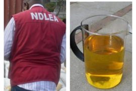 NDLEA Reveals Nigerian Youths Now Takes Processed Urine To Feel High