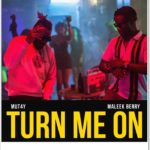 Mut4y ft. Maleek Berry - Turn Me On