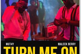 Mut4y ft. Maleek Berry – Turn Me On (Mp3 Download)