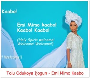 Tolu Odukoya Ijogun - Emi Mimo Kaabo