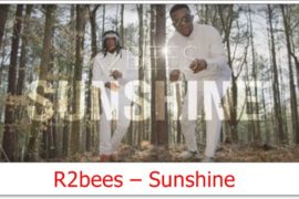 R2bees – Sunshine (Video)