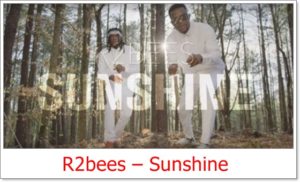 R2bees - Sunshine Video