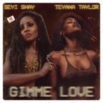 Seyi Shay - Gimme Love (Remix) Ft. Teyana Taylor