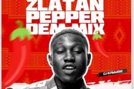DJ Kaywise – Zlatan ‘Pepper Dem’ Mix Download