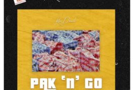Kizz Daniel – Pak n Go (Mp3 Download)