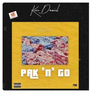 Kizz Daniel Pak n Go